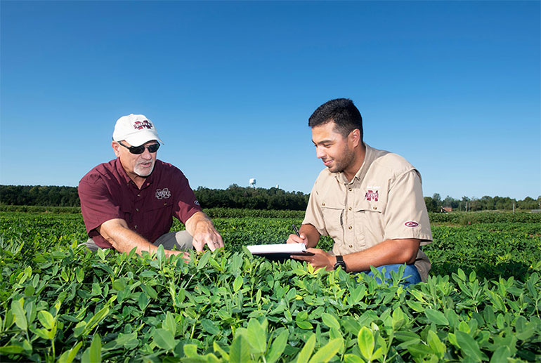 professor and student in soybean field