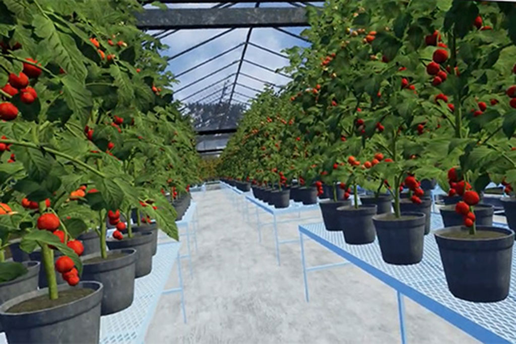 MSU students grow innovative virtual plants, harvest real knowledge
