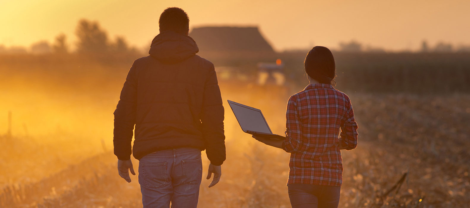 Students walking in field with laptop