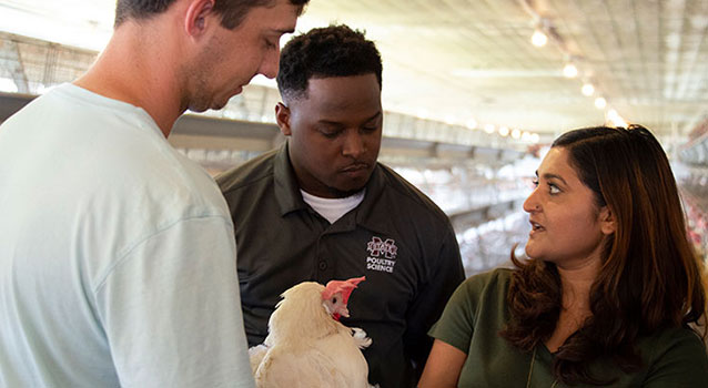 Male student at dairy