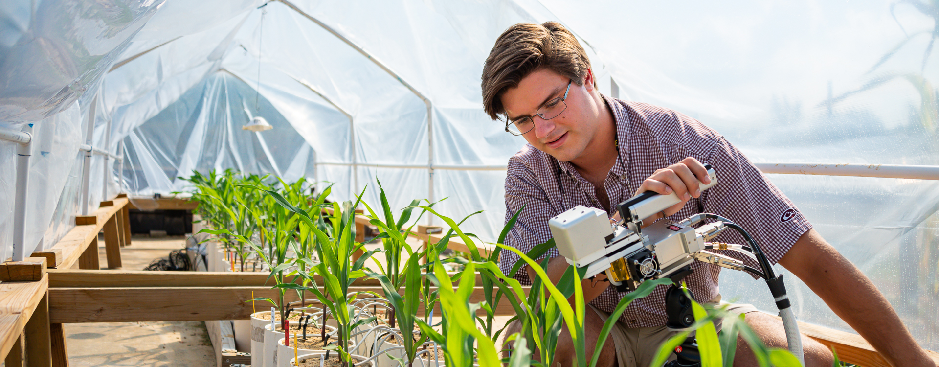 Plant Agriculture College of Agriculture and Life