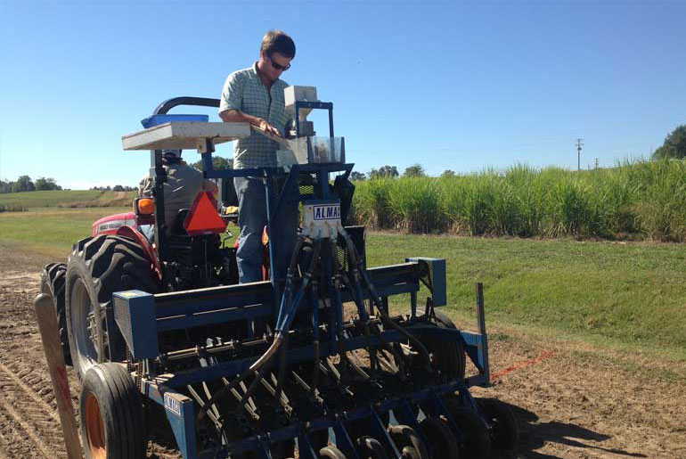 MSU graduate student wins national award for forage research