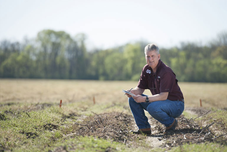 MSU weed science professor named Hartwig chair