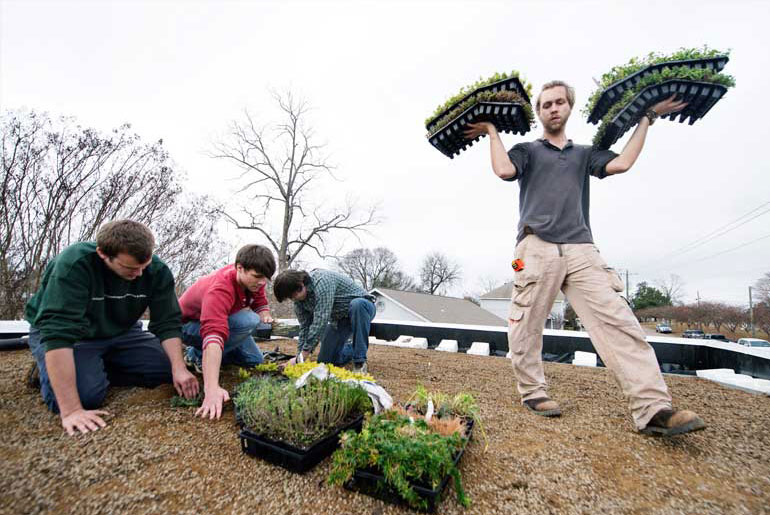 three students working in landscape