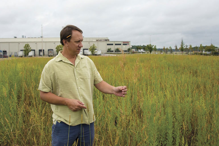 Nationally recognized MSU faculty member helps automaker aid the environment