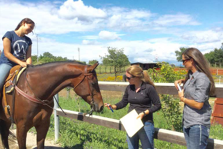 Three females with a horse