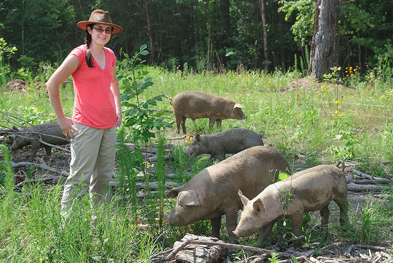 alumna with hogs in the field