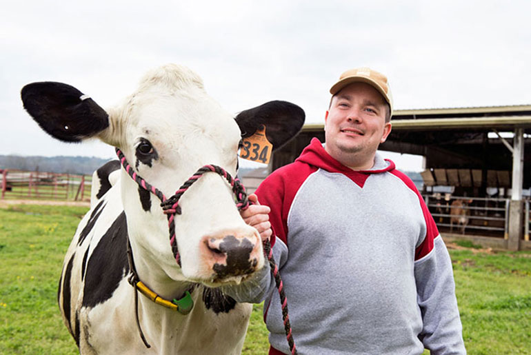 male student with dairy cow