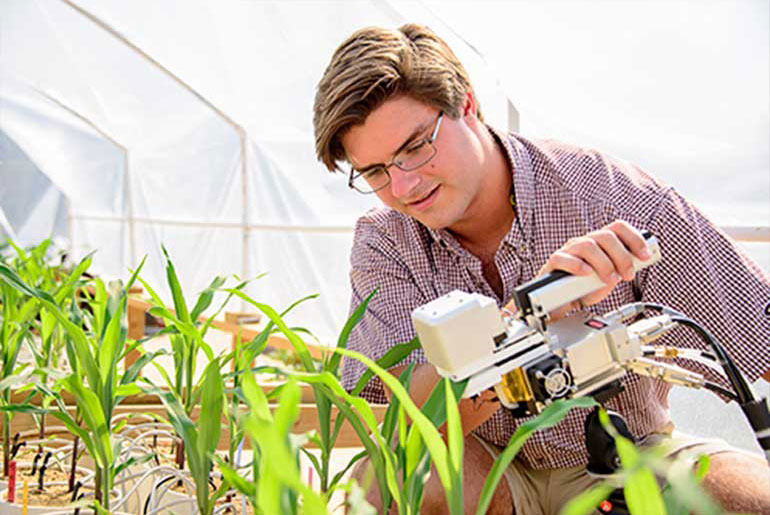 Male student measuring color of corn with instrument