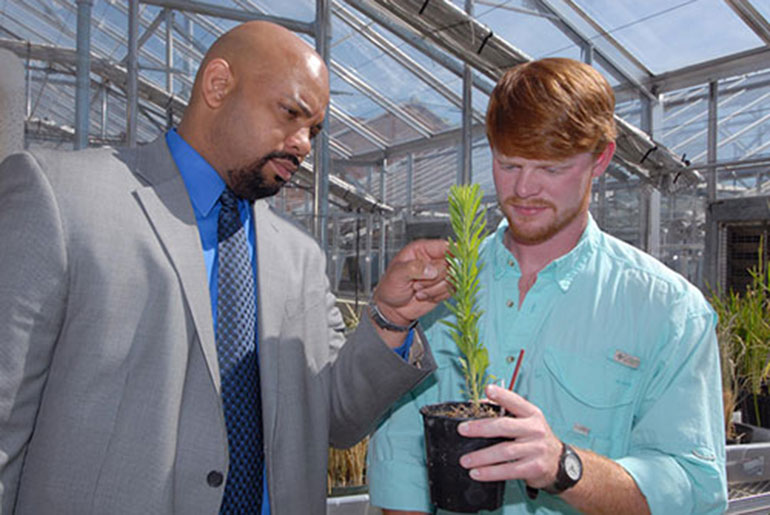 Faculty and student looking at plant in greenhouse