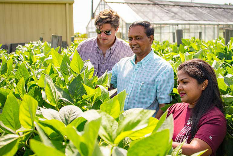 Students and scientist in greenhouse