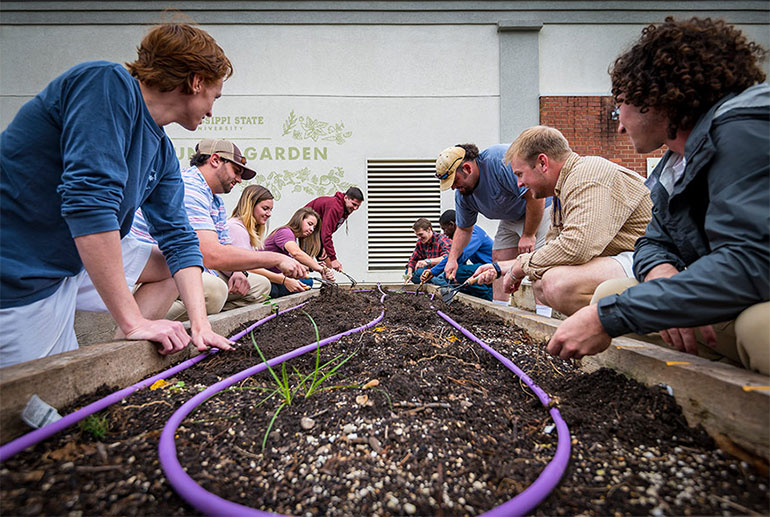 students in community garden