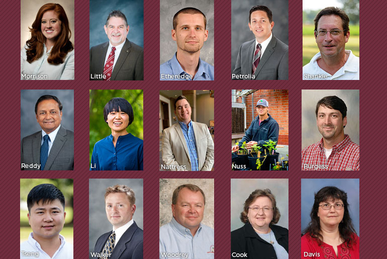 collage of award winners