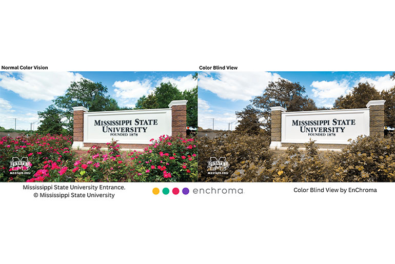 Mississippi State University Entrance, Color Blind View by EnChroma