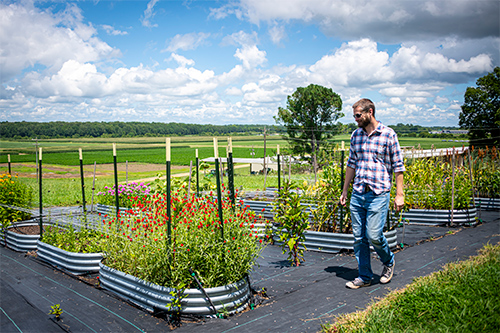 Cole Etheredge, associate professor in floriculture and ornamental horticulture in MSU