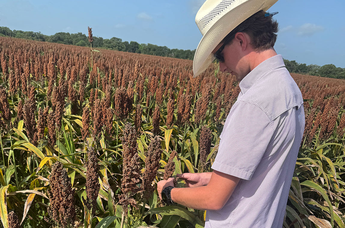 Mayes Prescott, a Mississippi State junior agronomy major from Myrtle, works at his Helena Agri-Enterprises internship in East Bernard, Texas.