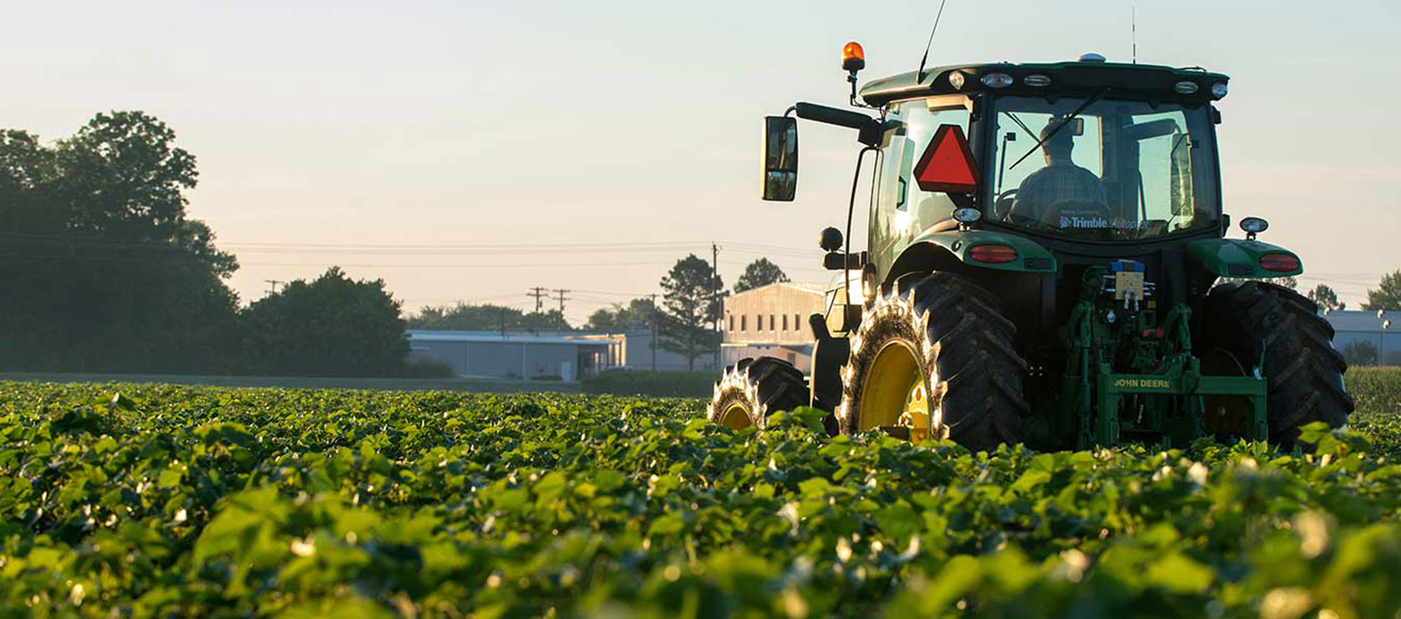 Tractor in the field