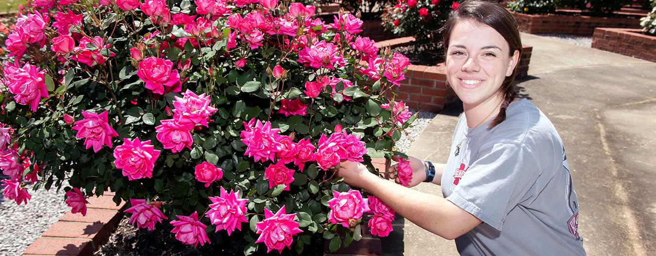 female student working in rose garden