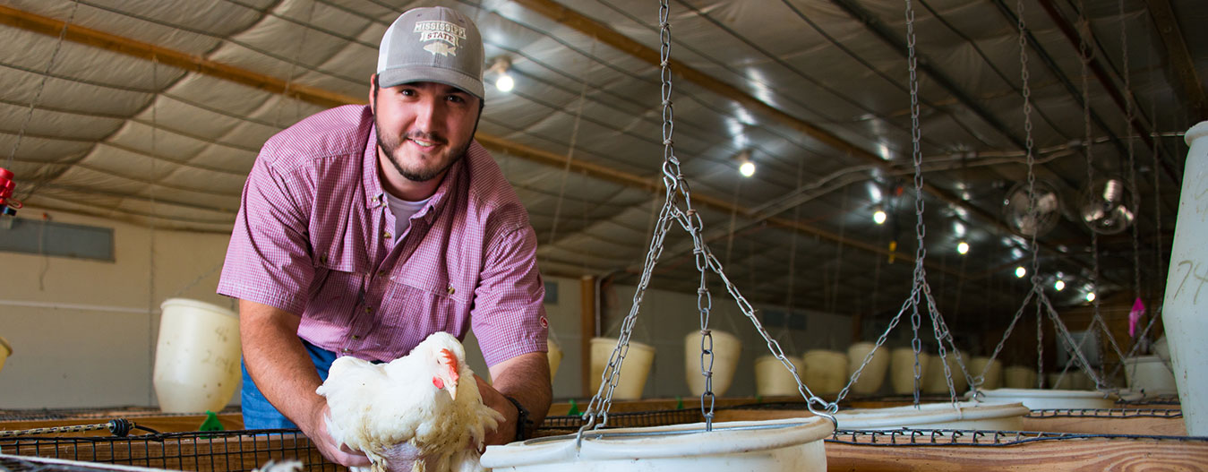 Male student holding broiler