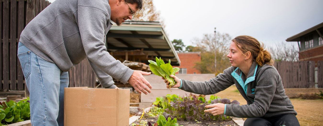 Undergraduate Researchers in the Community Garden