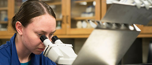 Student looking through microscope