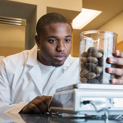 Male student working with food