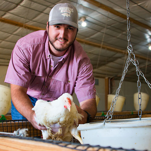 Male student with a broiler